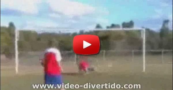 Defesa Estupida Por Instinto